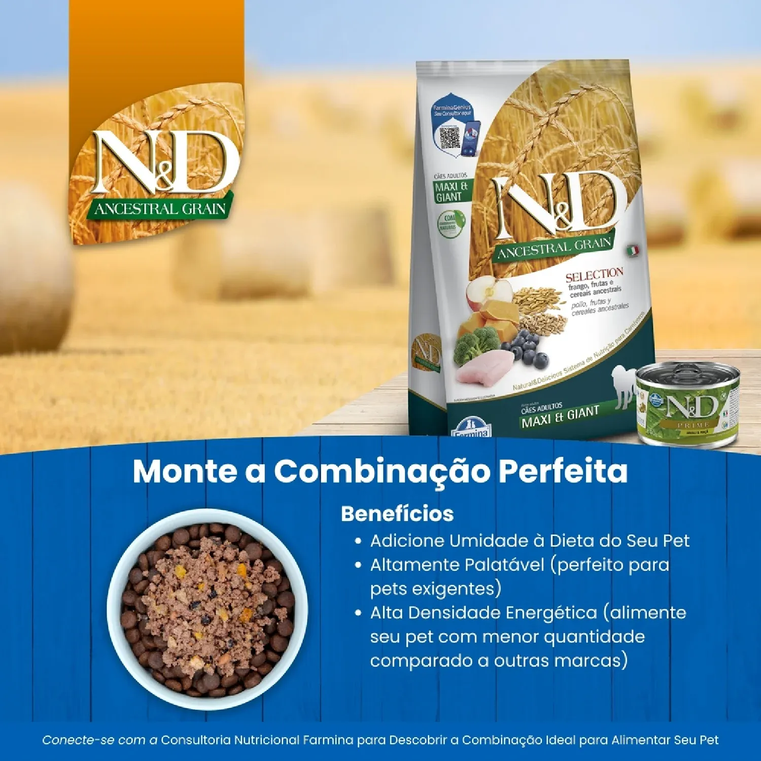 ND ANCESTRAL SELECTION AD MAX_GIG beneficios